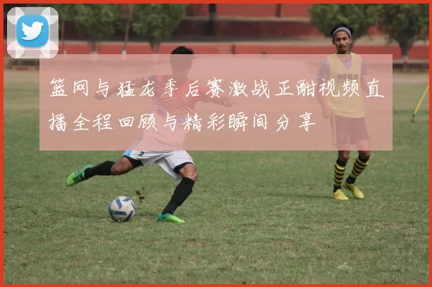 篮网与猛龙季后赛激战正酣视频直播全程回顾与精彩瞬间分享